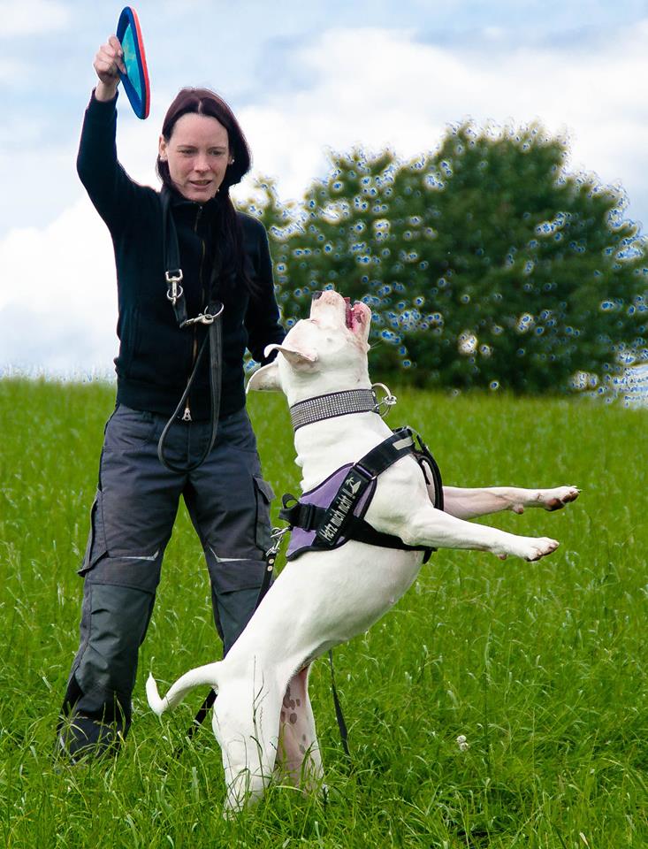 fitfordog.de – Alles rund um den Hund